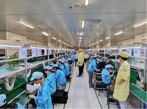 蘇寧拼購拼拼工廠再升級 老人機企業擁抱互聯網銷售，迎來增長新動力